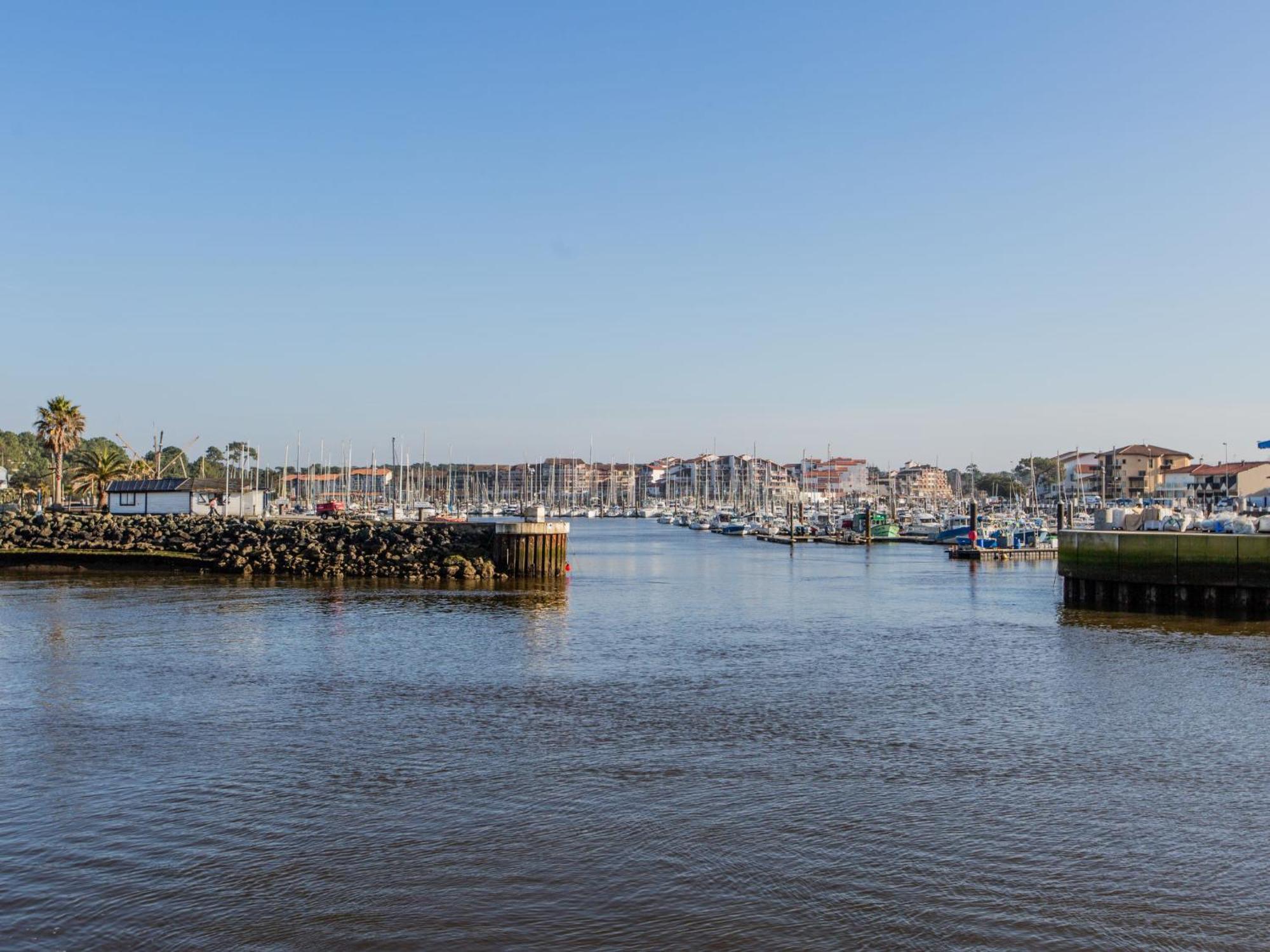 Apartment Les Terrasses Notre Dame Du Port-8 By Interhome กัปเบรอตง ภายนอก รูปภาพ